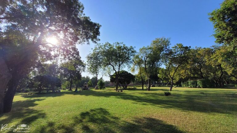 A Moment of Serenity in the Park